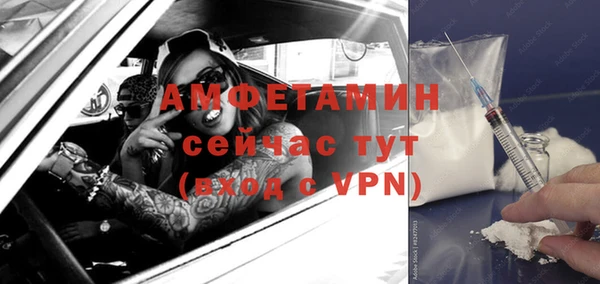 бошки Пересвет