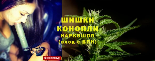 бошки Пересвет