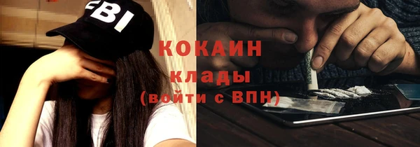 бошки Пересвет