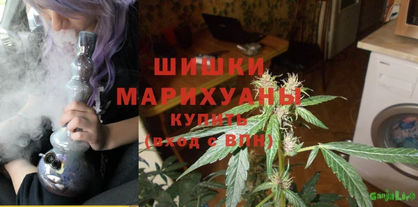 бошки Переславль-Залесский
