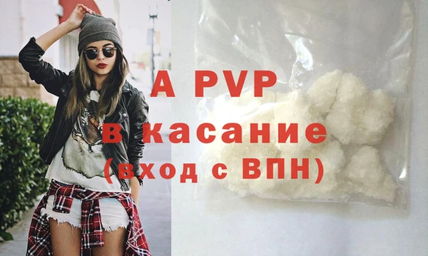 бошки Пересвет