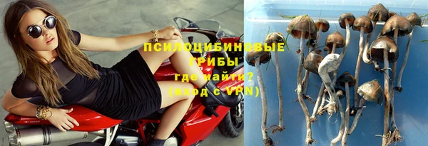 бошки Пересвет