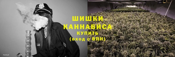 бошки Пересвет